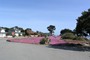 Iceflowers blomstrer i Pacific Grove Marine Gardens Park (N36º 37.704' W121º 55.310') i Monterey (20070520_0004).