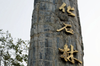 Forstenet træ, Beijings Naturhistoriske Museum